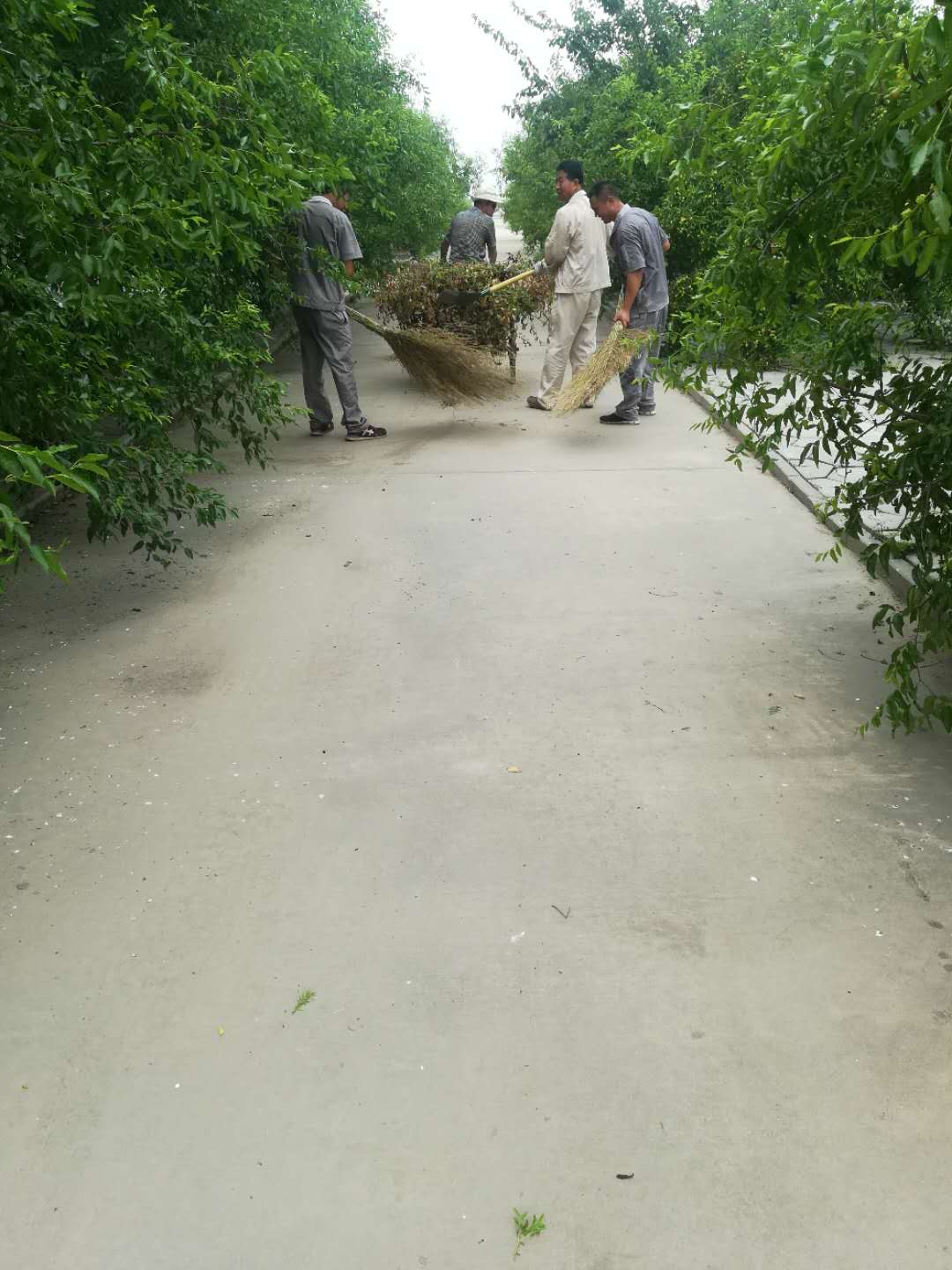 �GԴ���R��(d��ng)�ֹ������ÏS�^(q��)